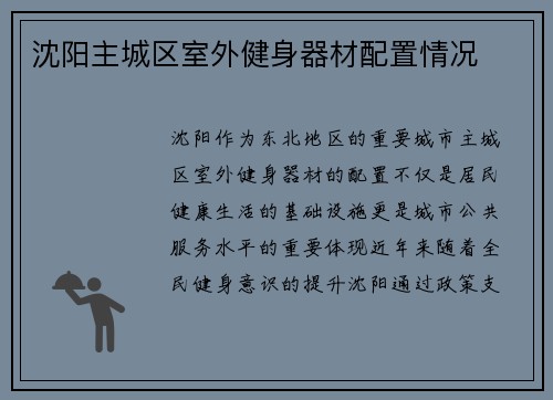 沈阳主城区室外健身器材配置情况
